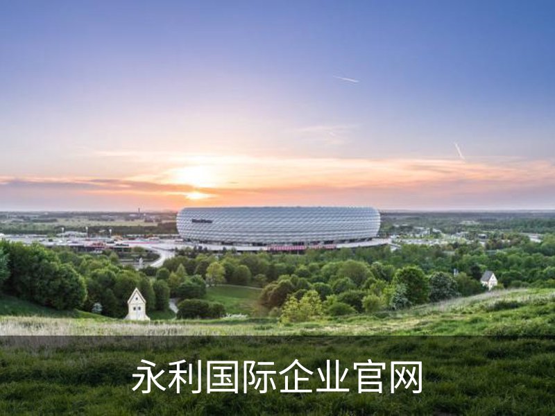 永利国际企业官网概况